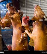 Image result for Dog Meat Market in China