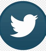 Image result for Twitter Logo Without Background