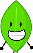 Image result for Leafy BFDI PFP