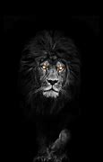 Image result for Dark Lion Wallpaper