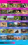 Image result for Animals That Live in the Zoo