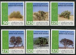 Image result for UAE Desert Plants