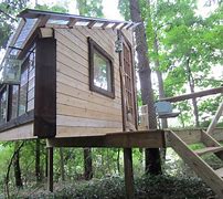 Image result for Tree House