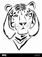 Image result for Tiger Head Front View