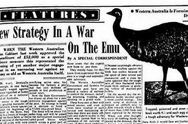 Image result for Great Emu War for Kids