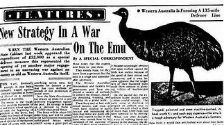 Image result for Great Emu War