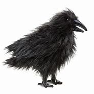 Image result for Raven Puppet