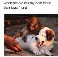 Image result for You Are My Best Friend Meme