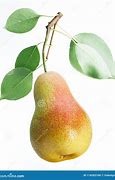 Image result for One Brown Pear