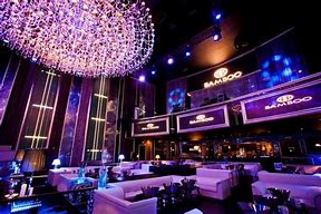 Image result for Domecile Miami Club