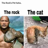 Image result for Rock Meme Picture