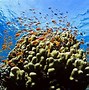 Image result for Wallpaper PC HD Ocean