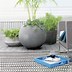 Image result for Unique Indoor Plant Pots