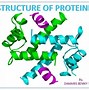 Image result for Protein Motif