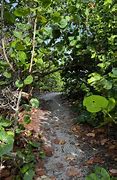 Image result for Apollo Beach Nature Preserve