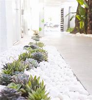 Image result for Desert Garden Design Ideas