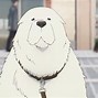 Image result for Anime Dogg St