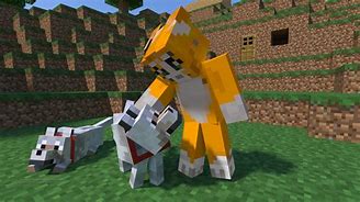 Image result for Picks of Stampy Cat