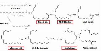 Image result for Fatty Acid Ester