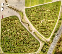 Image result for Corn Maze Theme