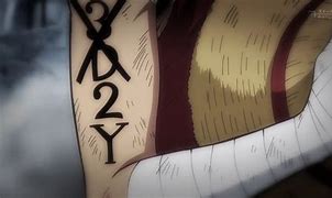 Image result for 3D2Y One Piece Graphic Design