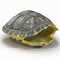 Image result for Turtle Shell STL