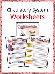 Image result for Circulatory System Grade 5