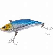 Image result for Fake Minnow Fishing Set Up