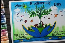 Image result for Biodiversity Posters