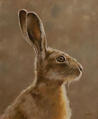 Image result for Hare Portrait Side Profile