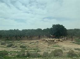 Image result for Jordan River Valley Israel