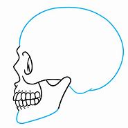 Image result for 3 4. Profile Skull Drawing