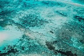 Image result for Ocean Floor Texture