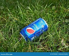 Image result for Empty Pepsi Can