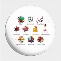 Image result for Different Kinds of Viruses