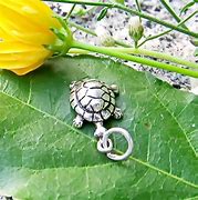 Image result for Openable Turtle Charm