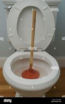 Image result for Plunder Toilet