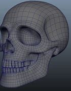 Image result for Human Skull in All Angles 3D