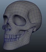 Image result for Human Skull 3D Model Wireframe Abstract