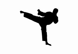 Image result for Martial Arts Fist into Glass Image