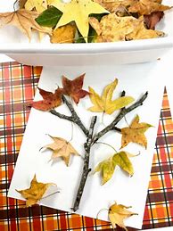 Image result for Fall Leaf Tree Craft