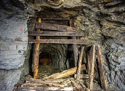 Image result for Old West Gold Miner