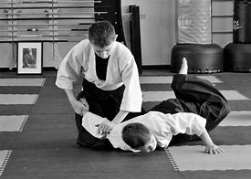 Image result for Aikido Knife