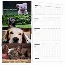 Image result for Cattle Dog Calendar