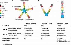 Image result for MRD in CLL