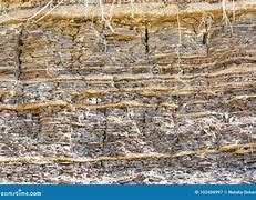 Image result for Sandstone Rock Layers