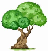 Image result for Tree Pictures Clip Art