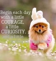 Image result for Cute Spring Quotes