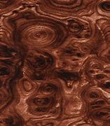 Image result for Burl Wood Grain