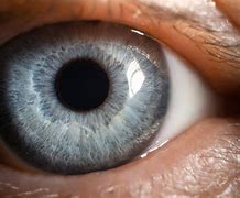 Image result for Male Eyes Close Up Photography